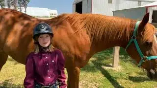 2023 Stock Talk winner: Brinley