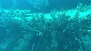 west palm 03252023