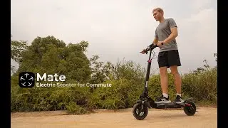 Circooter Mate 800W OFF-ROAD  Electric Scooter
