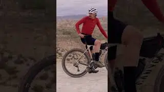 Get ready for epic gravel adventures! 🐻