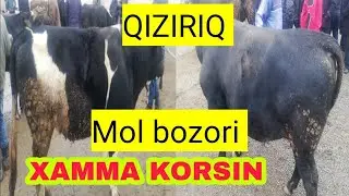 28.11.2021 QIZIRIQ MOL BOZORIDAGI NARHLAR BILAN TANISHING  @Musurmonjon Ibragimov