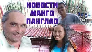 Новости Манго Хаус Панглао - Жизнь на Филиппинах