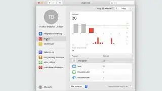 Systeminställningar rad 2, iOS 13