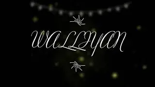 WALLIYAN AUDIO 8D