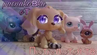 lps :Распаковка петов с обмена от канаоа Пестролистая тв ❤ n.7