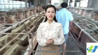 The Nile Machinery's Advanced Flotation Machine