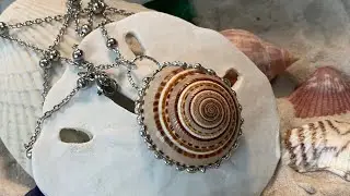 Soft Soldered Sundial Shell