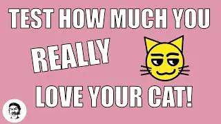Test How Much You Really Love Your Cat!