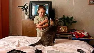 Зря малый обидел кота