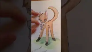 Заказы #1 /Чит описание!!!!!