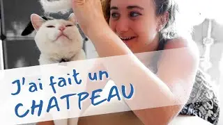 Obligée de faire quelque chose de tout ces poils de chat 😂