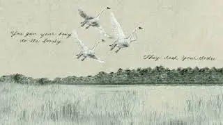Sufjan Stevens - "To Be Alone With You" (Official Audio)