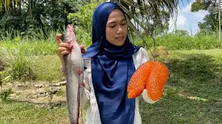 TELUR DADAR IKAN SEMBILANG