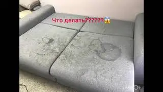 Химчистка очень грязного дивана #spartaclean #shorts