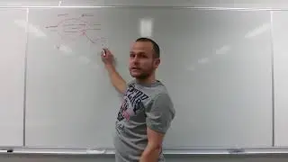Respirationen dannelse af ATP
