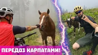 Передоз Карпатами: Хорде - Сироварня - Бережниця | Що по Гревелу?