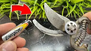 Amazing Method to Sharpen Pruning Shears To Razor Sharp In 5 Minutes