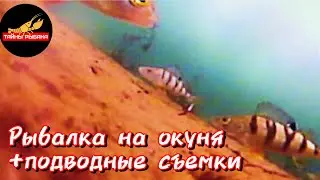 Рыбалка на Лыткаринском карьере и Токарёвском озере.