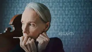 МЕЧЕТЬ КОШЕК В ДАМАСКЕ   ИСТОРИЯ КОШКИ В ИСЛАМЕ   ЭТО ЖДЕТ ТОГО КТО ПЛОХО ОТНОСИ