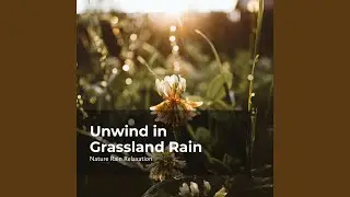 Relax in Paradise Rain