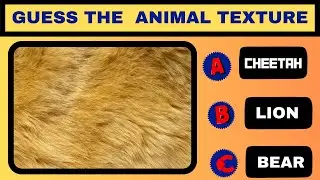 ||Guess the animal quiz |Can you Guess the Animal by their texture?||
