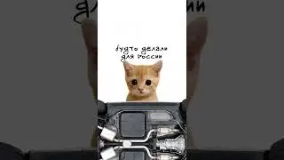 Kisa buys a DeLorean DMC-12🔥Kisa explains😻🚘Buy used cars on Avto.ru