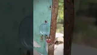 Mr. bombastic bomba fantastic door engineer