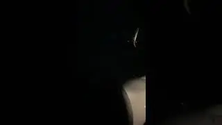 Ryanair Buzz Takeoff from Manchester Airport