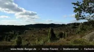 Lüneburger-Heide erleben mit dem Heide-Ranger