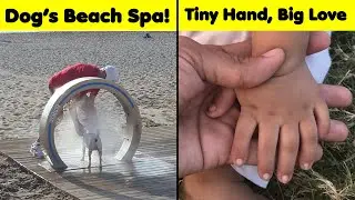 Mildly Interesting Photos That Will Change Your Mind