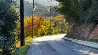 Auriol en Automne : La Magie des Couleurs, Vigne à l'Automne et Oliviers Majestueux