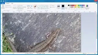 Как в Paint обрезать фото