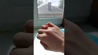 9 мая 2023 г.
