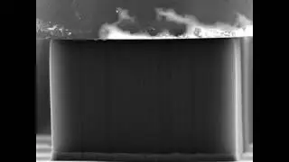 In situ SEM compression of a carbon nanotube micropillar