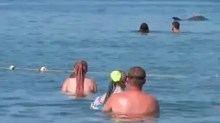 дельфины в Железном порту.