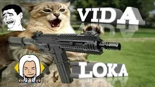 GATOS VIDA LOKA: #1 Narrador do Google Videos engraçados 2016