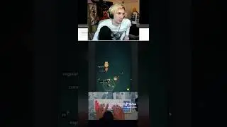 xQc reacted to my ZType video! 🎉