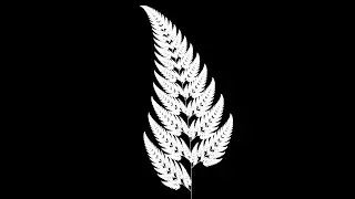 Barnsley Fern C++ SFML