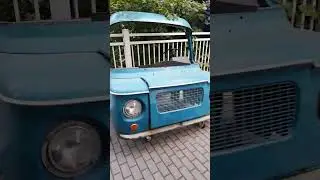 автолицо