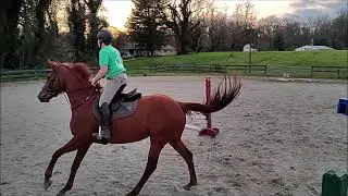 Mondeuse Jump School 04082024