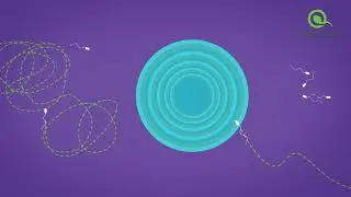 HoMedics® SwimCount™ Sperm Quality Test