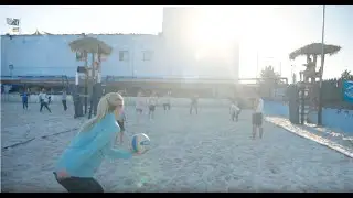 Wave Taco: Where the City Meets the Sand