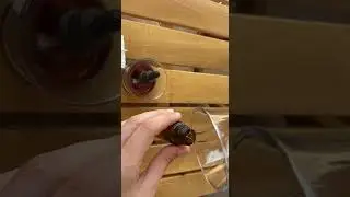 BURUN TIKANIKLIĞINA DOĞAL ÇÖZÜM- ÇÖREK OTU YAĞI