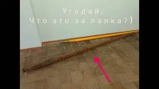 Внимание загадка! (поставь на паузу и подумай. ответ в конце видео)