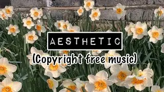 Aesthetic Music copyright free💕