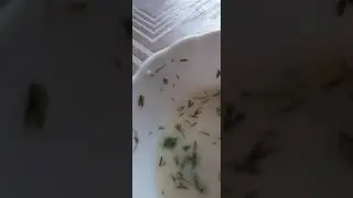 я кушаю окрошку