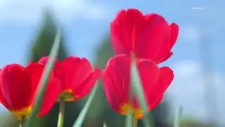Пятничное служение. 05.05.2023