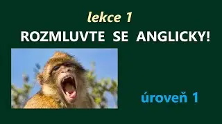 Mluvte anglicky - LEKCE 1, úroveň 1,   video + poslechová lekce a písemné cvičení zdarma
