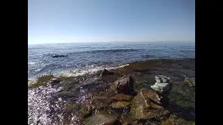 быть всем