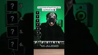 Are you a real Phonk fan?😱 #phonk #music #фонк
